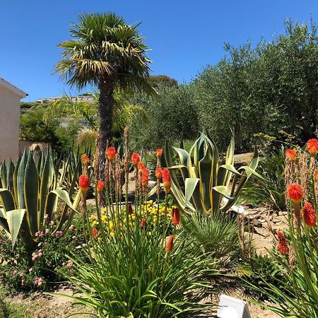 La Casa Di Sissi B&B Sanremo Eksteriør bilde