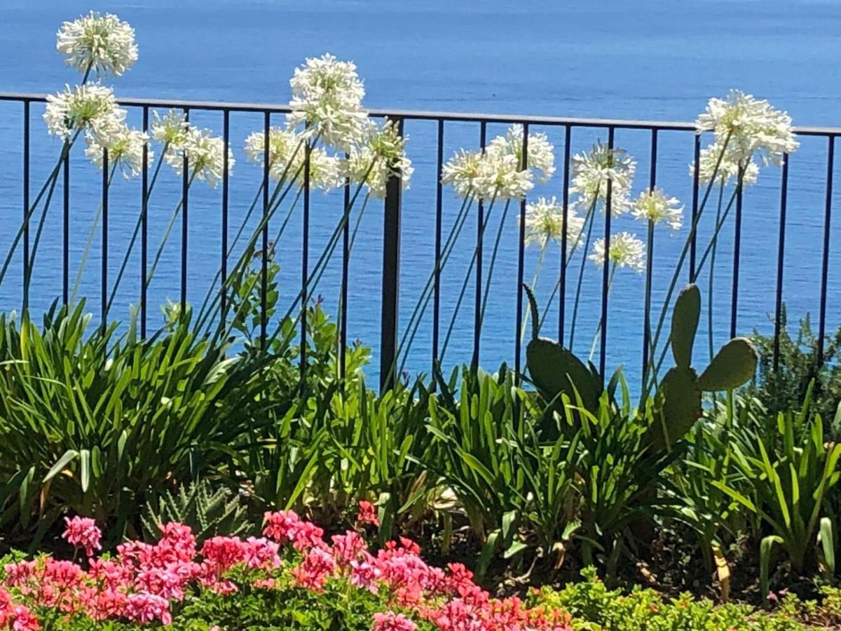 La Casa Di Sissi B&B Sanremo Eksteriør bilde