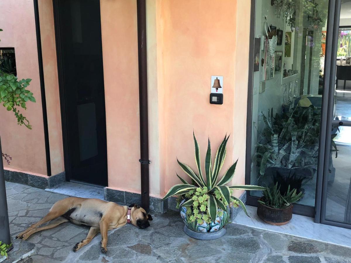 La Casa Di Sissi B&B Sanremo Eksteriør bilde
