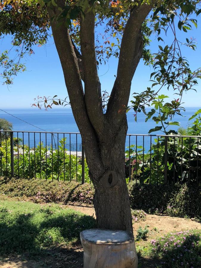 La Casa Di Sissi B&B Sanremo Eksteriør bilde